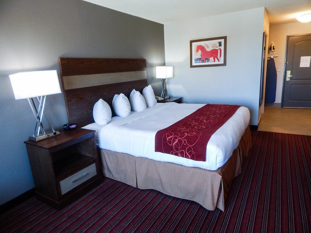 Country Inn & Suites By Radisson, Dfw Airport South, Tx Irving Exterior foto